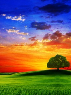 Nature-237170